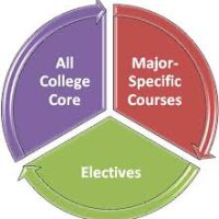 curriculum1 curriculum1